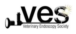 VES Veterinary Endoscopy Society Logo Feline Vet